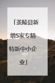 茶陵县新增5家专精特新中小企业