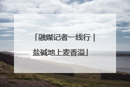 融媒记者一线行｜盐碱地上麦香溢