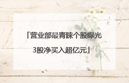 营业部最青睐个股曝光 3股净买入超亿元