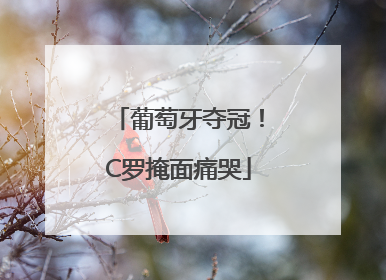 葡萄牙夺冠！C罗掩面痛哭