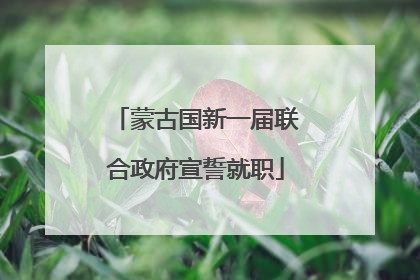蒙古国新一届联合政府宣誓就职
