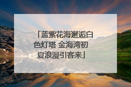 蓝紫花海邂逅白色灯塔 金海湾初夏浪漫引客来