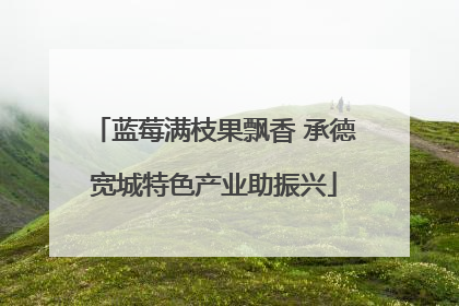 蓝莓满枝果飘香 承德宽城特色产业助振兴