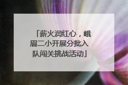 薪火润红心，峨眉二小开展分批入队闯关挑战活动