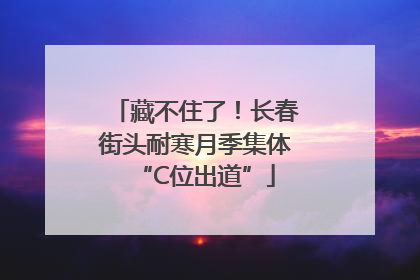 藏不住了！长春街头耐寒月季集体“C位出道”