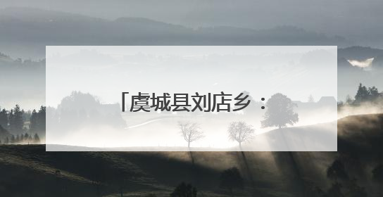 虞城县刘店乡：“粽香情深”商会慰问孤寡老人