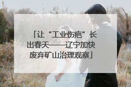 让“工业伤疤”长出春天——辽宁加快废弃矿山治理观察