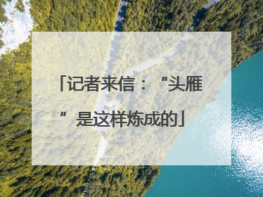 记者来信：“头雁”是这样炼成的