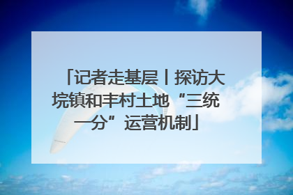 记者走基层丨探访大垸镇和丰村土地“三统一分”运营机制