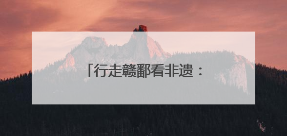 行走赣鄱看非遗：“希望岳家拳的身影遍布大江南北”
