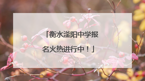 衡水滏阳中学报名火热进行中！