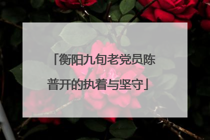 衡阳九旬老党员陈普开的执着与坚守