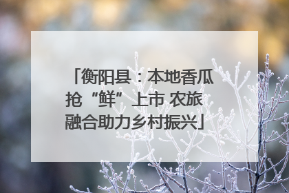 衡阳县：本地香瓜抢“鲜”上市 农旅融合助力乡村振兴