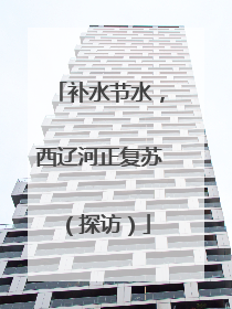 补水节水，西辽河正复苏（探访）