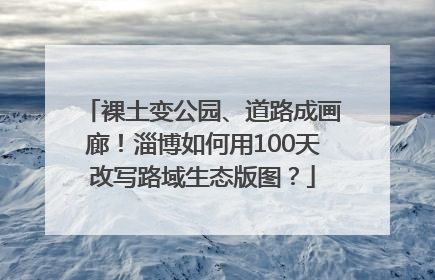裸土变公园、道路成画廊！淄博如何用100天改写路域生态版图？