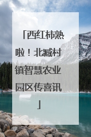 西红柿熟啦！北臧村镇智慧农业园区传喜讯