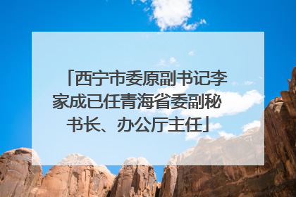 西宁市委原副书记李家成已任青海省委副秘书长、办公厅主任