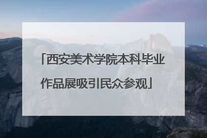 西安美术学院本科毕业作品展吸引民众参观