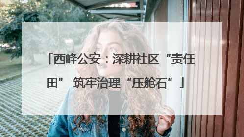 西峰公安：深耕社区“责任田” 筑牢治理“压舱石”