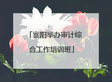 襄阳举办审计综合工作培训班