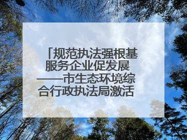 规范执法强根基 服务企业促发展——市生态环境综合行政执法局激活营商环境“绿色动能”