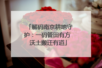 解码南京耕地守护：一码管田有方 沃土搬迁有道