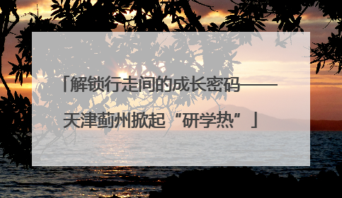 解锁行走间的成长密码——天津蓟州掀起“研学热”