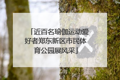 近百名瑜伽运动爱好者郑东新区市民体育公园展风采