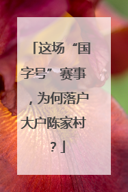 这场“国字号”赛事，为何落户大户陈家村？