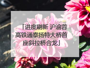 进度刷新 沪渝蓉高铁通泰扬特大桥首座斜拉桥合龙
