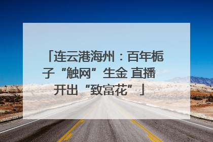 连云港海州：百年栀子“触网”生金 直播开出“致富花”