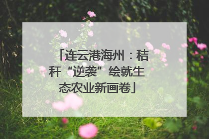 连云港海州：秸秆“逆袭”绘就生态农业新画卷