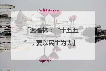 迟福林：“十五五”，要以民生为大