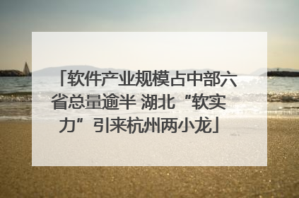 软件产业规模占中部六省总量逾半 湖北“软实力”引来杭州两小龙