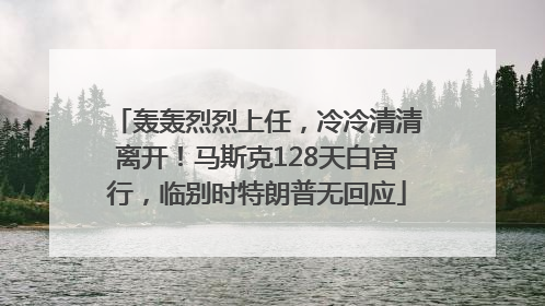 轰轰烈烈上任，冷冷清清离开！马斯克128天白宫行，临别时特朗普无回应