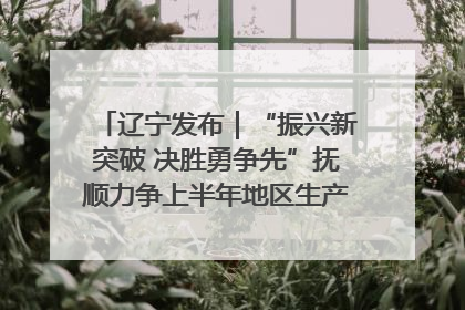 辽宁发布｜“振兴新突破 决胜勇争先”抚顺力争上半年地区生产总值增长7%左右