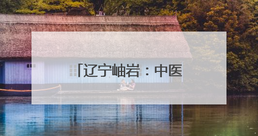 辽宁岫岩：中医药夜市护健康