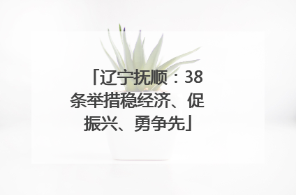 辽宁抚顺：38条举措稳经济、促振兴、勇争先