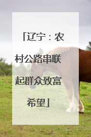 辽宁：农村公路串联起群众致富希望
