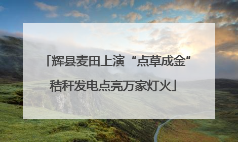 辉县麦田上演“点草成金” 秸秆发电点亮万家灯火