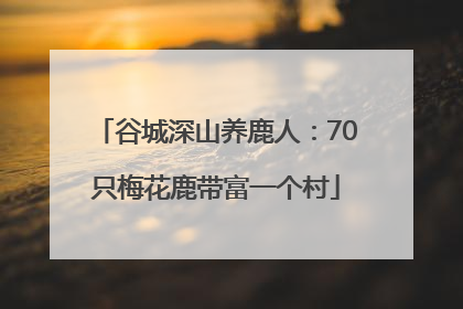 谷城深山养鹿人：70只梅花鹿带富一个村