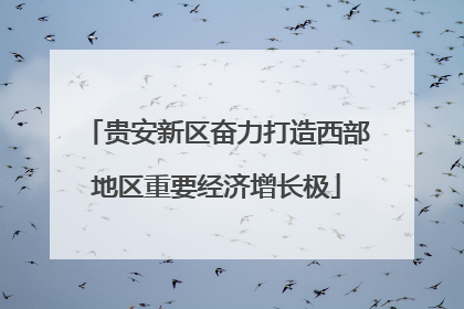 贵安新区奋力打造西部地区重要经济增长极
