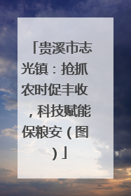 贵溪市志光镇：抢抓农时促丰收，科技赋能保粮安（图）