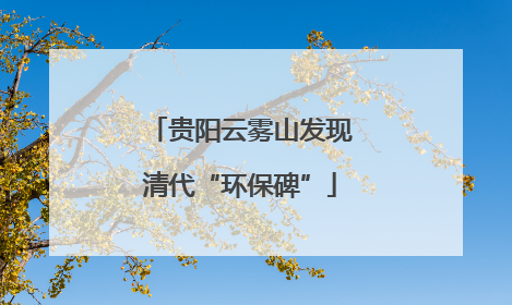贵阳云雾山发现清代“环保碑”