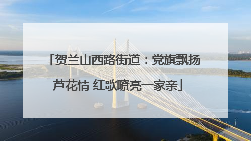 贺兰山西路街道：党旗飘扬芦花情 红歌嘹亮一家亲