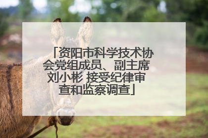 资阳市科学技术协会党组成员、副主席刘小彬 接受纪律审查和监察调查