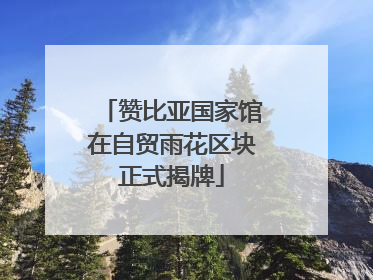 赞比亚国家馆在自贸雨花区块正式揭牌