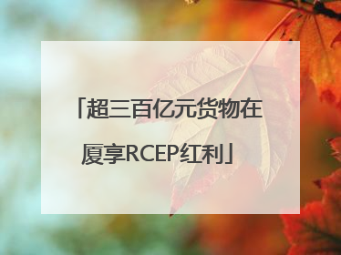 超三百亿元货物在厦享RCEP红利