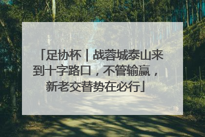 足协杯｜战蓉城泰山来到十字路口，不管输赢，新老交替势在必行