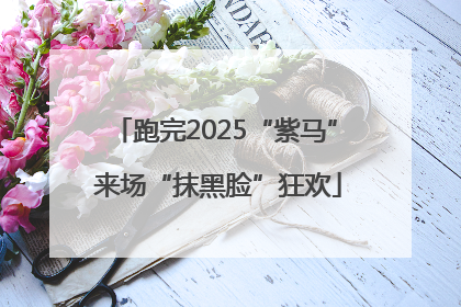 跑完2025“紫马” 来场“抹黑脸”狂欢